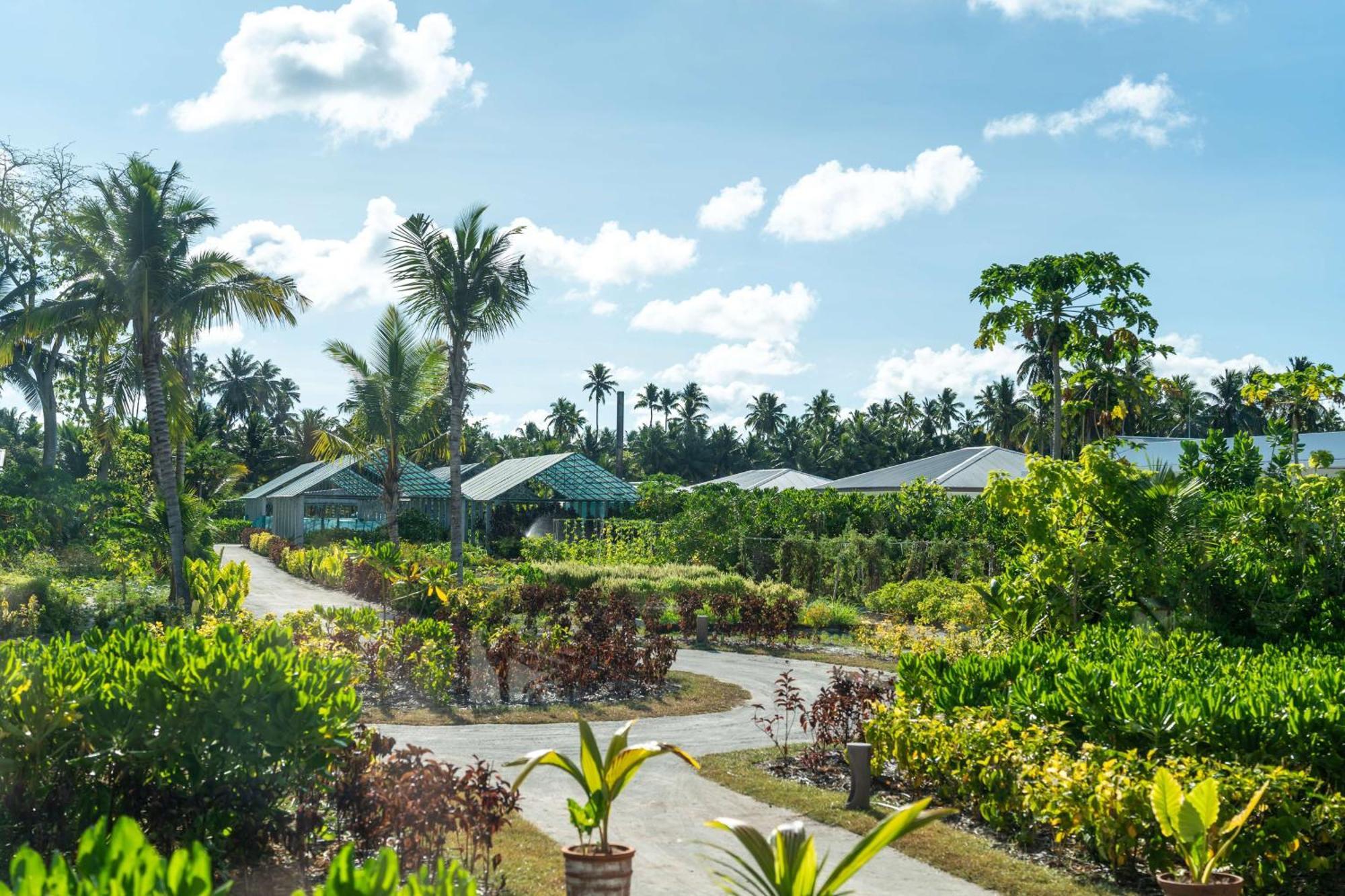 Waldorf Astoria Seychelles Platte Island Ξενοδοχείο Εξωτερικό φωτογραφία